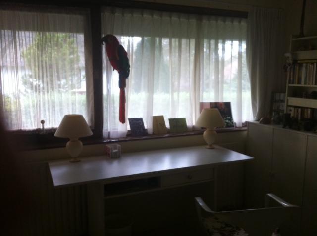 B&B Jagerslaan Wassenaar Pokoj fotografie